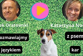 Stawiajmy psu zdrowe granice (WIDEO) - 59060