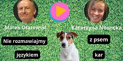 Behawiorystka radzi: Stawiajmy psu zdrowe granice (WIDEO)-59060