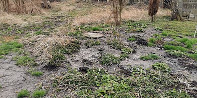 Studzienki kanalizacyjne wybijają fekalia-59110