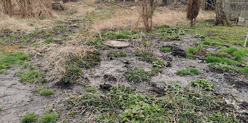 Studzienki kanalizacyjne wybijają fekalia. W rurach można znaleźć wszystko - 59110