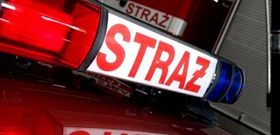 Wąż na posesji. Strażacy ruszyli do akcji-59222