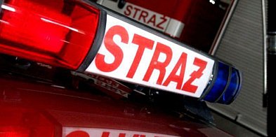 Wąż na posesji. Strażacy ruszyli do akcji-59222