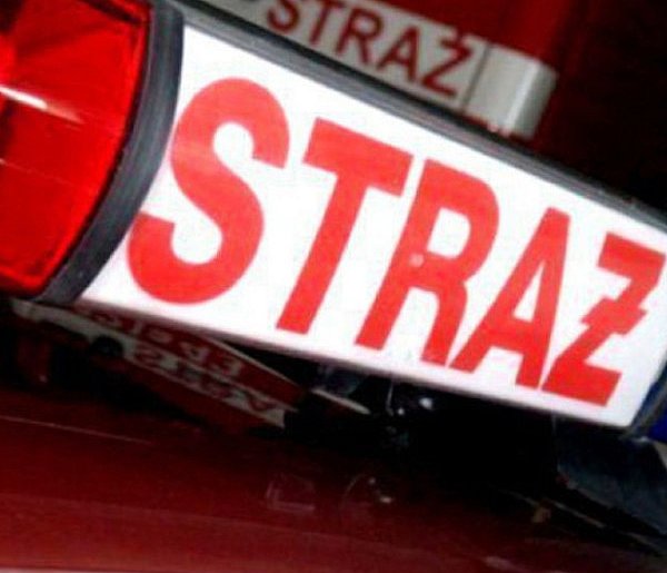 Wąż na posesji. Strażacy ruszyli do akcji-59222