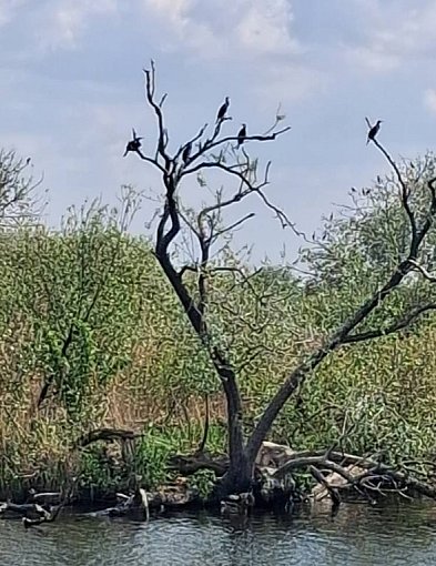 Natura w obiektywie PRZEŁOMowych Kadrów-59331
