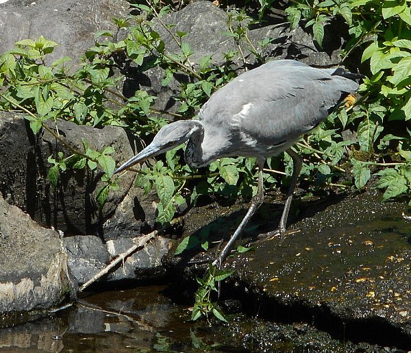 Natura w obiektywie PRZEŁOMowych Kadrów-59331