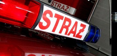 Pożary w Trzebini i Luszowicach, wypadek w Chrzanowie. Raport strażaków -59420