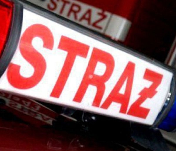 Pożary w Trzebini i Luszowicach, wypadek w Chrzanowie. Raport strażaków -59420