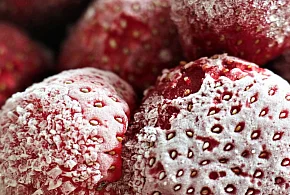Salmonella w truskawkach z Biedronki. GIS ostrzega przed tą partią-59437