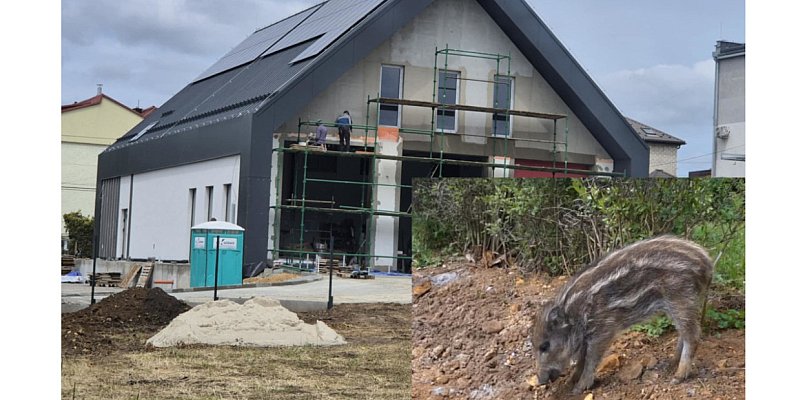 Remiza prawie gotowa, a na budowie zadomowił się dzik - 59528