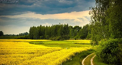 Krajobraz w PRZEŁOMowych Kadrach-59559