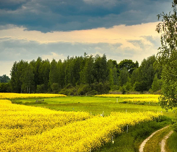 Krajobraz w PRZEŁOMowych Kadrach-59559