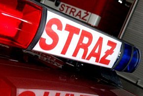 Strażacy z Chrzanowa w akcji: od czadu po poszukiwania w lesie-59649