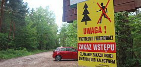 Mimo zakazu mieszkańcy wchodzą do puszczy