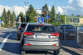 Egzamin na prawo jazdy będzie inny. Od 1 lipca nowe zasady-60493
