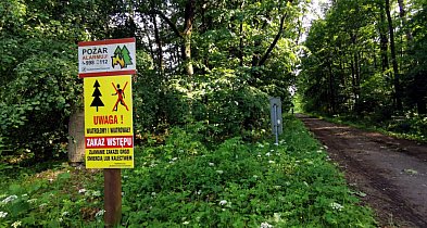 Zakaz wstępu do Puszczy Dulowskiej zostanie zniesiony-60590