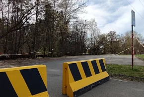 Parking w Chrzanowie powstał po bezprawnej wycince drzew-60685