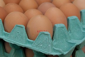 Salmonella na jajach znanej marki. Nie jedz, jeśli masz je w lodówce!-60717