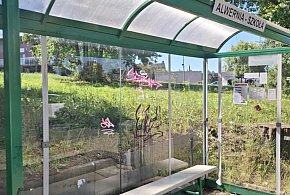Wandale grasują w gminie Alwernia-60775