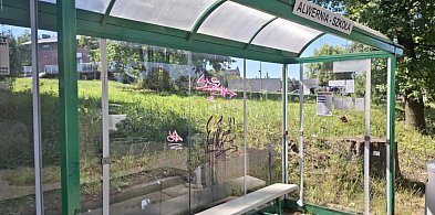 Wandale grasują w gminie Alwernia-60775