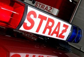 Pożar auta. Zwęglone zwłoki w środku-60834