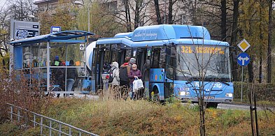 Komunikacja miejska w Chrzanowie za darmo?-60831