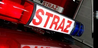 Pożar auta. Zwęglone zwłoki w środku-60834
