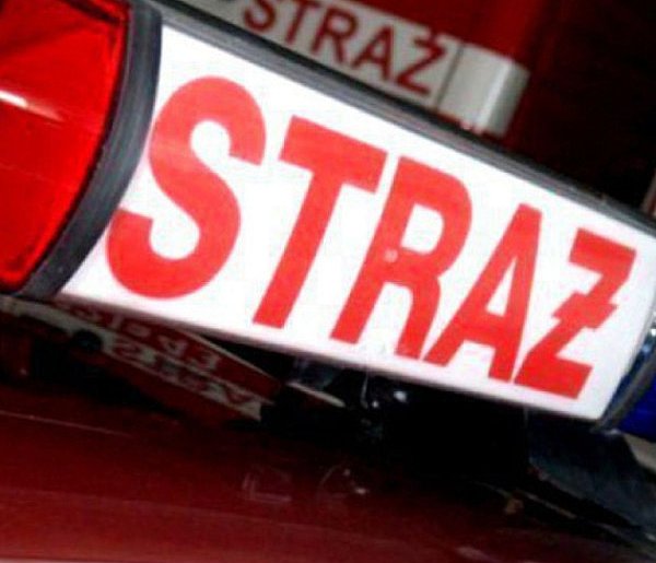 Pożar auta. Zwęglone zwłoki w środku-60834