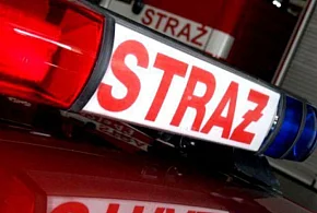 Płonęły samochody, garaż i drewutnia. Strażacy ratowali też ptaka i łapali węża