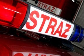 Pożar drewna i kilka kolizji. Tydzień w statystykach chrzanowskich strażaków