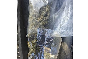 Nielegalna plantacja rosła na podwórku. W domu czekał kolejny „towar”