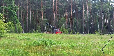Naukowcy, posłowie i społecznicy apelują o ochronę Puszczy Dulowskiej