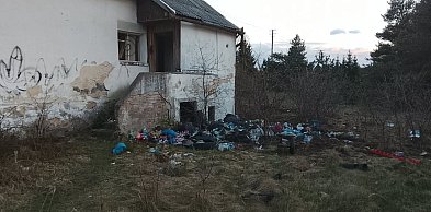 Gdzie są śmieci tam i dziki