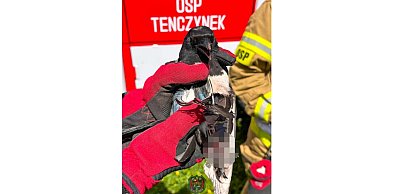 Utknęła na rozgrzanym dachu. Strażacy walczyli o jej życie