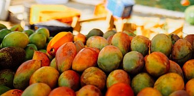 Mango: król egzotycznych owoców i co wpływa na jego cenę