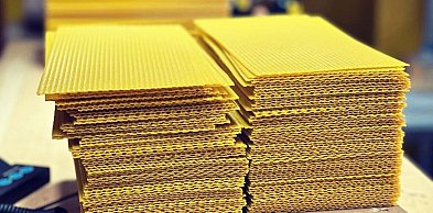 Węza pszczela – fundament zdrowej pasieki. Jakie są jej rodzaje i gdzie…