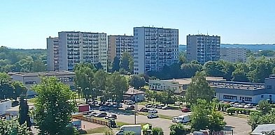Przystanki, parkingi i walka z dzikami. Mieszkańcy zgłosili swoje postulaty