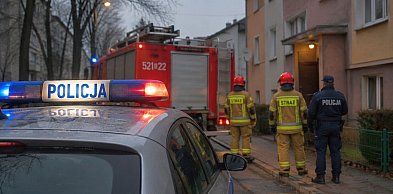 Makabryczne odkrycie przy ul. Grzybowej. Zaleziono ciało w stanie rozkładu
