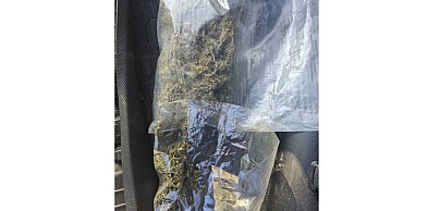 Nielegalna plantacja rosła na podwórku. W domu czekał kolejny „towar”
