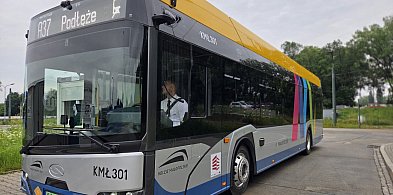 Wodorowce i elektryki w drodze