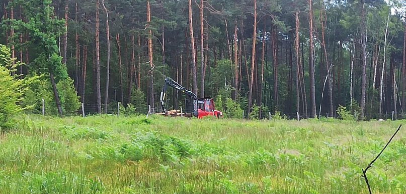 Naukowcy, posłowie i społecznicy apelują o ochronę Puszczy Dulowskiej