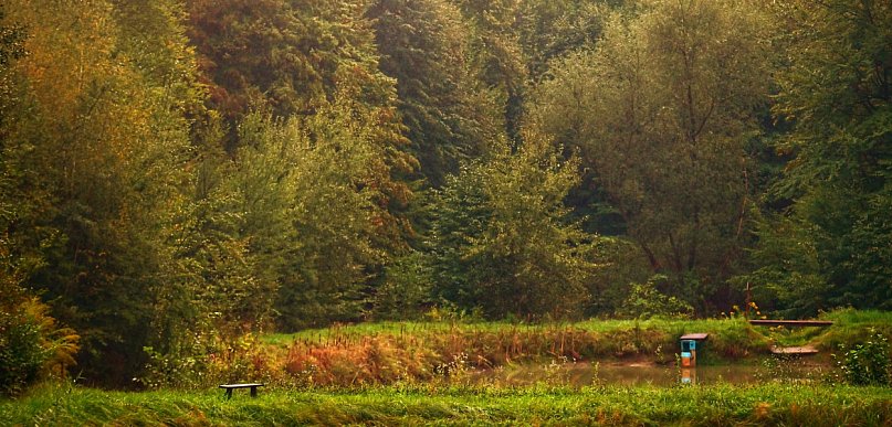 Kamil Jarosz z Przełomowych Kadrów nad stawami w Pogorzycach
